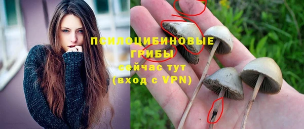 spice Армянск